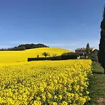 Bed & Breakfast Casa Fanny Riviera Del Conero