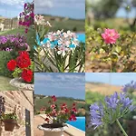 Casa Fanny Riviera Del Conero Bed & Breakfast Loreto