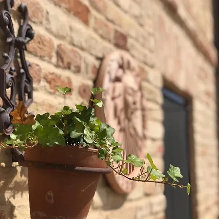 Casa Fanny Riviera Del Conero Nocleg ze śniadaniem 4*