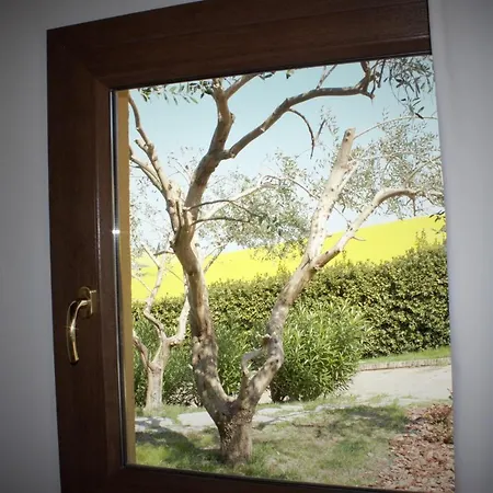 Casa Fanny Riviera Del Conero Bed & Breakfast 4*