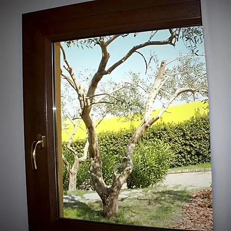 לינה וארוחת בוקר Casa Fanny Riviera Del Conero 4*