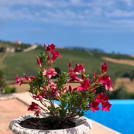 Casa Fanny Riviera Del Conero Loreto