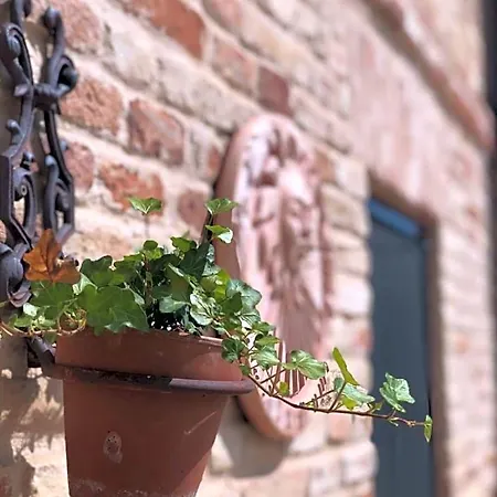 Bed & Breakfast Casa Fanny Riviera Del Conero