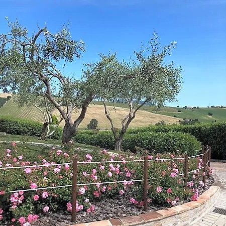 Bed & Breakfast Casa Fanny Riviera Del Conero 4*